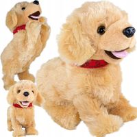 PIESEK Interaktywny FIGO REAGUJĄCY NA KOMENDY POLECENIA PO POLSKU Labrador