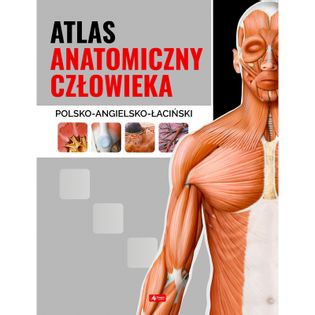 Atlas anatomiczny człowieka Opracowanie zbiorowe