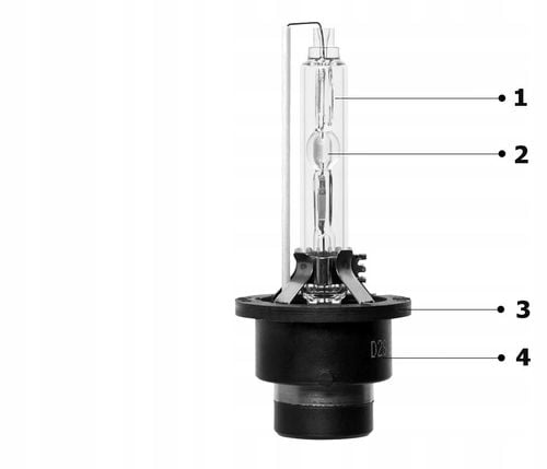 SENSO D2S na Arena.pl