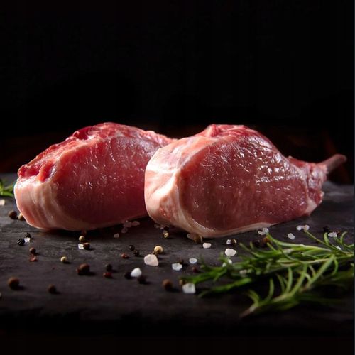 Pan Mięsko Karma sucha dla psa WIEPRZOWINA z DZIKEM chrupki XL 20kg na Arena.pl