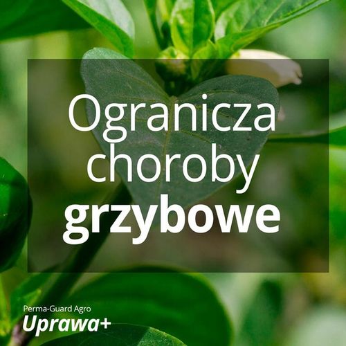 AdeSil krzemowy biostymuator wzrostu roślin 1 kg na Arena.pl
