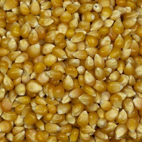 Popcorn 500g WYSOKA JAKOŚĆ 100% NATURALNY zdjęcie 3