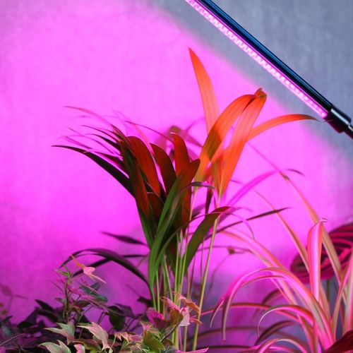 LAMPA DO WZROSTU UPRAWY ROŚLIN LED GROW LIGHT TIMER 9 POZIOMÓW ŚWIECENIA na Arena.pl