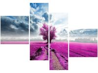 OBRAZ FIELD&TREE POLE DRZEWO KOLORY