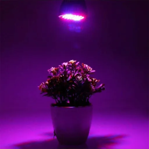 ŻARÓWKA LED GROW LIGHT DO UPRAWY ROŚLIN 50W E27 zdjęcie 5