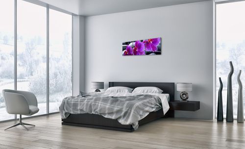 Obraz Na Płótnie - Storczyk Kamień - 90X30 Cm - Ca90X30-0440 na Arena.pl