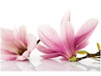 60X40CM RÓŻOWE MAGNOLIE OBRAZ