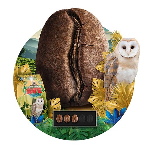 Kawa ziarnista 1kg Brazylia BRAZILLIA AVE Świeżo Palona - Blue Orca Coffee na Arena.pl