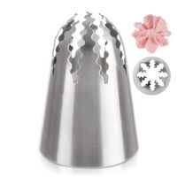 Tylka do dekoracji stalowa gwiazda