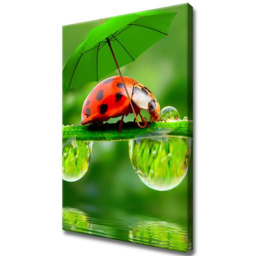 40X60 Obraz Na Prawdziwym Płótnie na Arena.pl