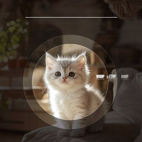 PROJEKTOR SMART MAGCUBIC MULTIMEDIALNY L018 4K 1080 p 650 ANSI 2025 na Arena.pl