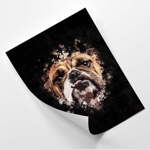 Plakat, Buldog angielski 40x60 na Arena.pl