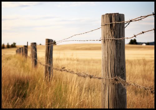 Plakat 100x70cm Płot na Polu na Arena.pl