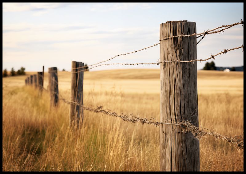 Plakat 100x70cm Płot na Polu zdjęcie 2