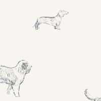 Tapeta Szkic Psy W120 250 cm płótno