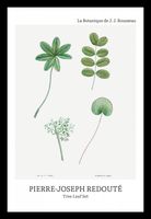 Plakat 20x30cm Design Tree Leaf Set, Redoute Vintage do Salonu