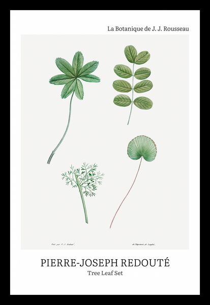 Plakat 20x30cm Design Tree Leaf Set, Redoute Vintage do Salonu zdjęcie 1
