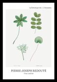 Plakat 20x30cm Design Tree Leaf Set, Redoute Vintage do Salonu