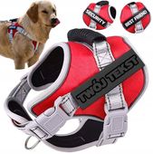 MOCNE SZELKI dla PSA BEZUCISKOWE M 50-62 + GRAWER