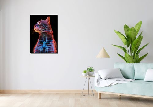 Plakat 59,4x84,1cm Anatomia Kota na Arena.pl