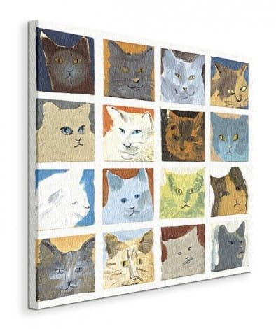 Cats Koty - Obraz na płótnie 40x40 cm na Arena.pl