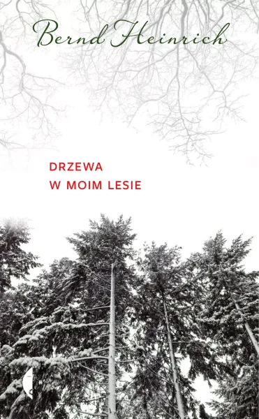 Drzewa w moim lesie zdjęcie 1