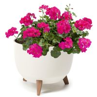 Doniczka misa okrągła nogi 29 cm kremowy