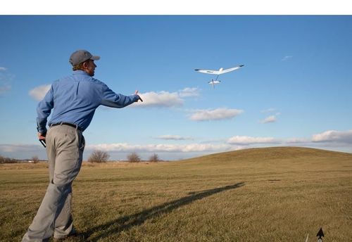 Whipit DLG Bind & Fly Basic na Arena.pl