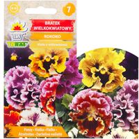 Bratek Wielkokwiatowy Rokoko 0,2G Kwiaty Toraf