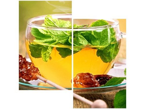 60X60CM HERBATKA MIĘTOWA DWU OBRAZ ŚCIAN na Arena.pl