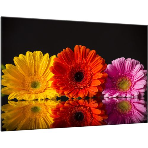 Obraz Do Salonu 120X80 Gerbery na Arena.pl