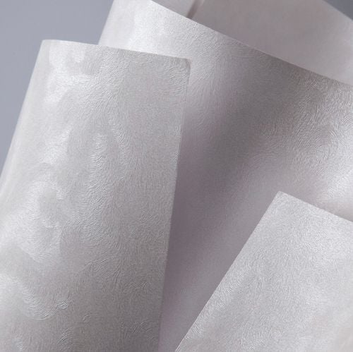 Karton Ozdobny Perła Biały A4 220G/M2 (20) 9568 na Arena.pl