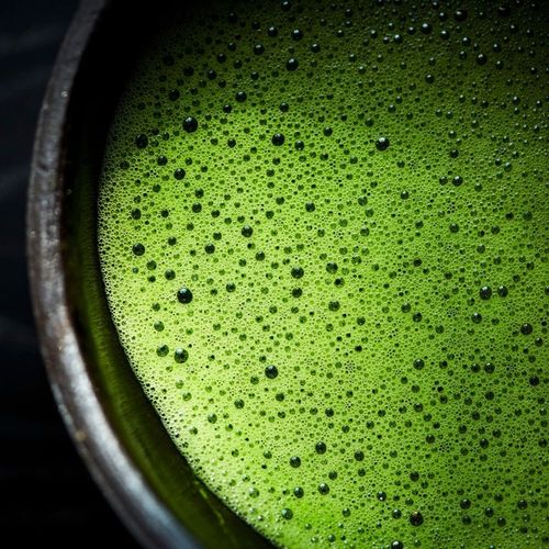 Herbata matcha japońska 100g Ujicha codzienna na Arena.pl