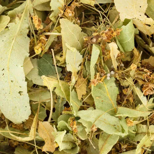 Kwiat lipy 50g na Arena.pl