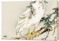 Obraz 100x70cm Northern Mockingbird, Kōno Bairei Vintage do Salonu