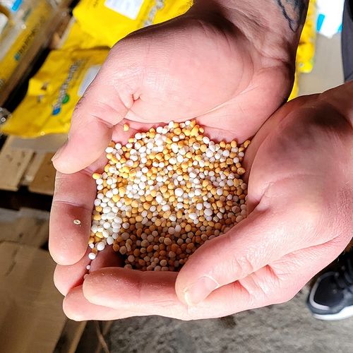 Barfertile Universal Nawóz letni 5kg Barenbrug na Arena.pl