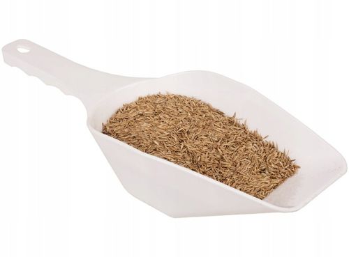 TRAWA ŁĄKOWA PASTWISKOWA ŁĄKA MIESZANKA NA SIANO WYDAJNA I TRWAŁA 5kg na Arena.pl