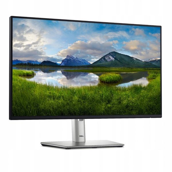 Monitor LED 24" Dell P2425H/5Y zdjęcie 12