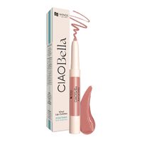 AA Wings Of Color Ciao Bella Vinyl Lip Combo 01 Almond Pink Mix