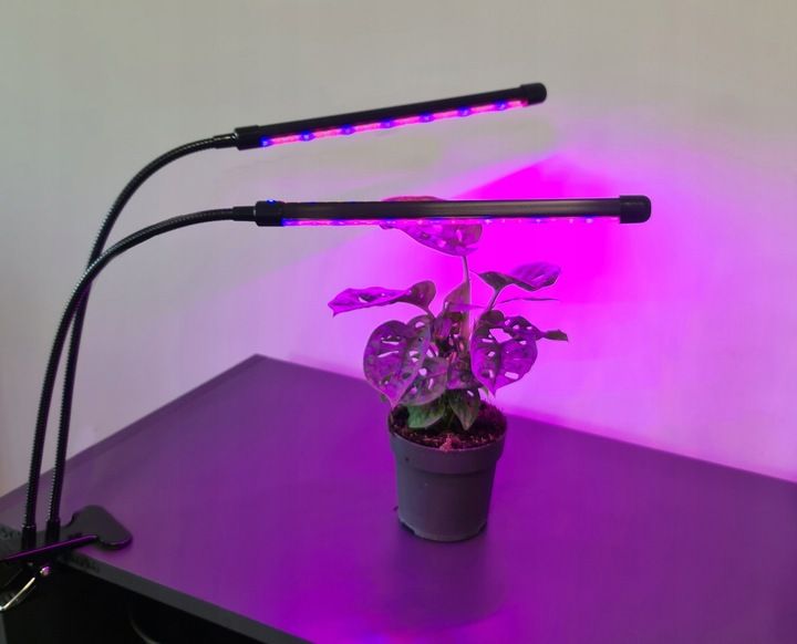 2 x Lampa do Wzrostu Roślin Uprawy 40 LED Panel Timer + Pilot zdjęcie 10