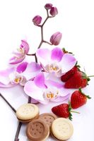 FOTOTAPETA kuchenna KWIAT TRUSKAWKI 260x180