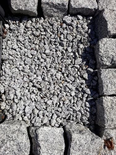 Grys granit 8-16 dalmatyńczyk kamień ozdobny ogrodowy 20 kg na Arena.pl