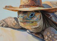 Plakat 55x40cm Żółwi Kapelusznik
