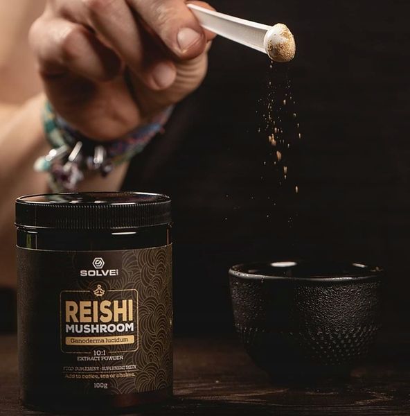 SOLVE LABS Reishi Lakownica Żółtawa 10:1 proszek 100g zdjęcie 3