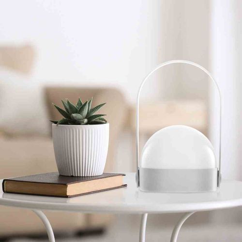 LEDDECO/KAMPI/GREY/M/CWH/1PC na Arena.pl