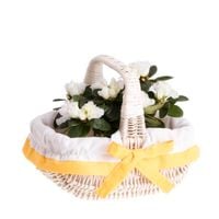 decor WIKLINOWY WYBIELANY KOSZYCZEK WIELKANOCNY NA ŚWIĘCONKĘ, KOSZYK DLA DZIECKA 24X16 H 14 CM uniwersalny