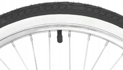 Rower dziecięcy INDIANA Moena 20 cali dla dziewczynki Biały na Arena.pl