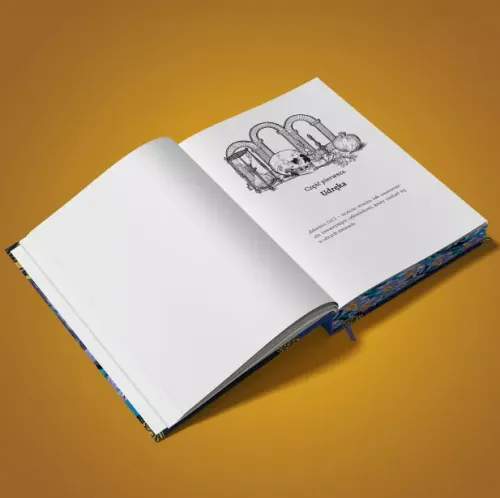 Mroczne lustro (barwione brzegi) na Arena.pl