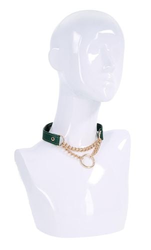 Day Collar na Arena.pl