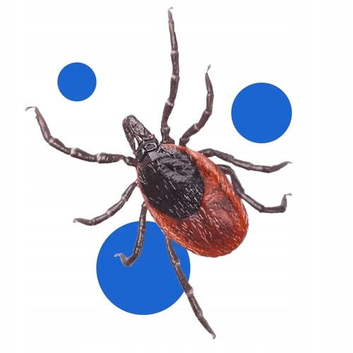 bros - bagosel 100ec 30ml - preparat do oprysku ogrodu przeciw komarom na Arena.pl